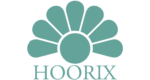 logo1691665091طط